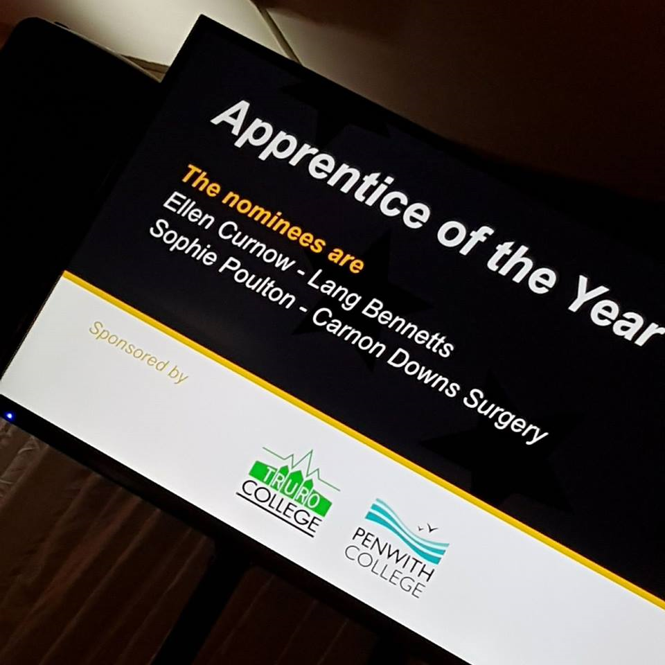 Apprentice of the Year